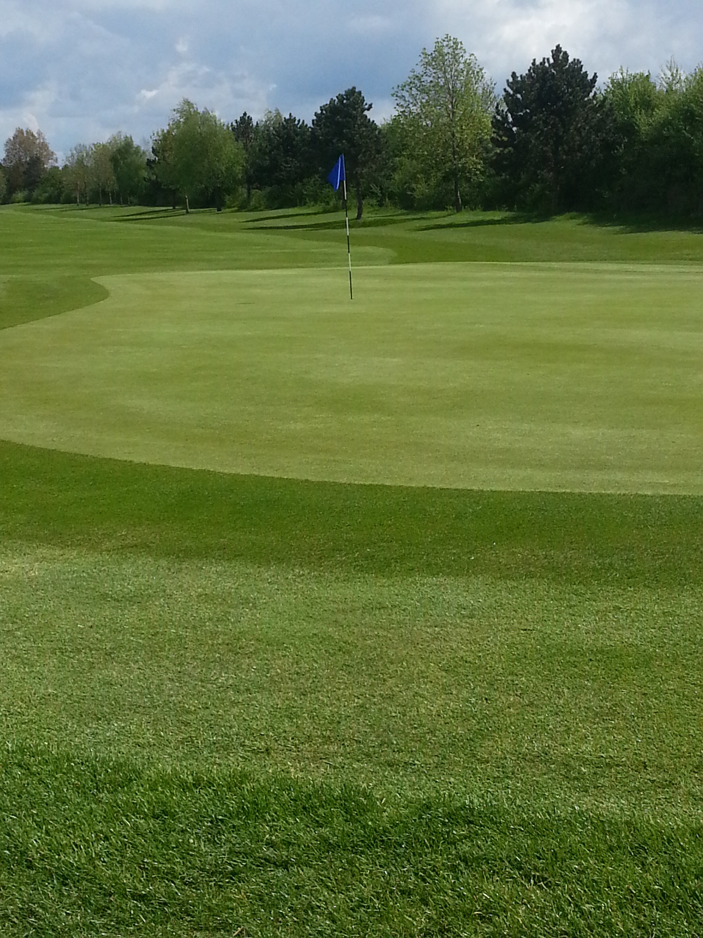 Peterstone Golf banner