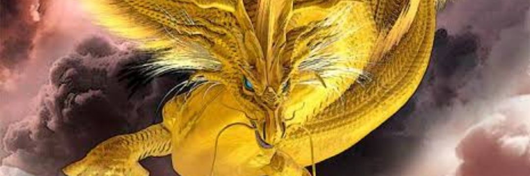 puchaso's profile banner image