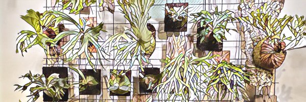 jun529 Profile Banner