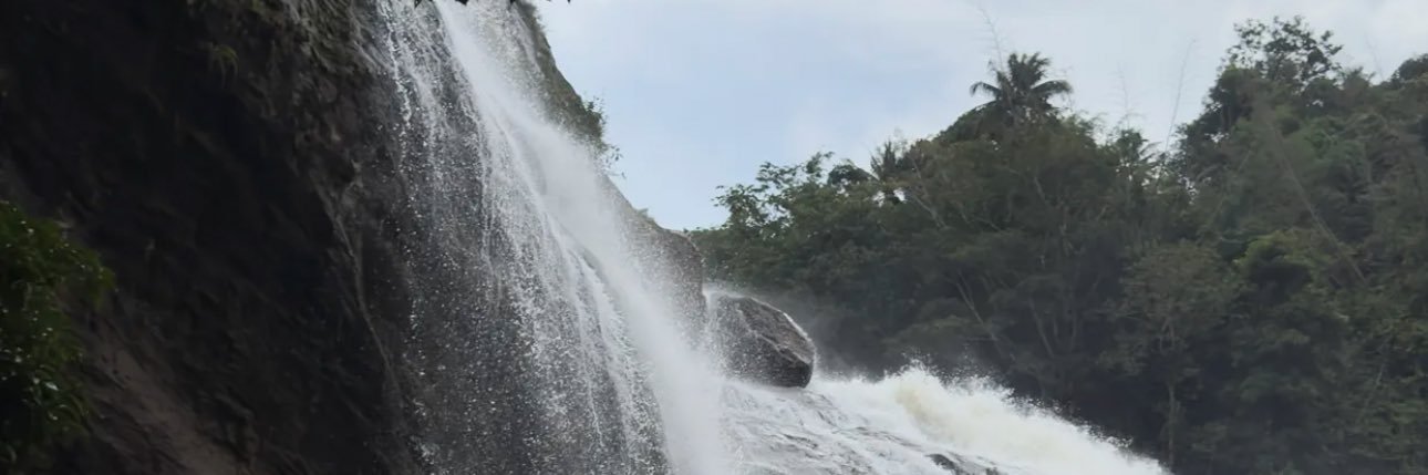tai_f3's profile banner image