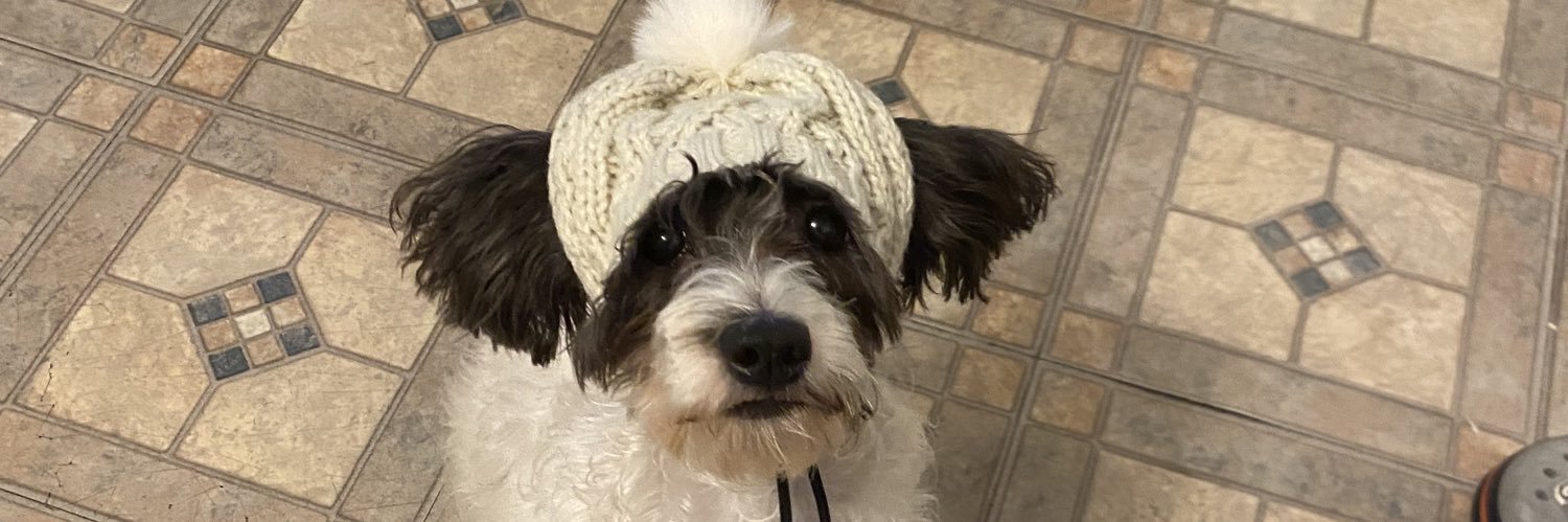 Joel Nunez 🇩🇴 banner