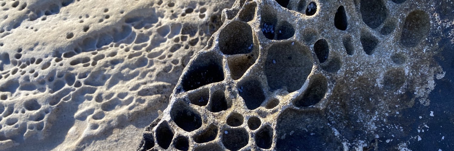 Annette Loudon banner