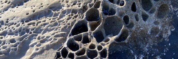 niftycorp Profile Banner