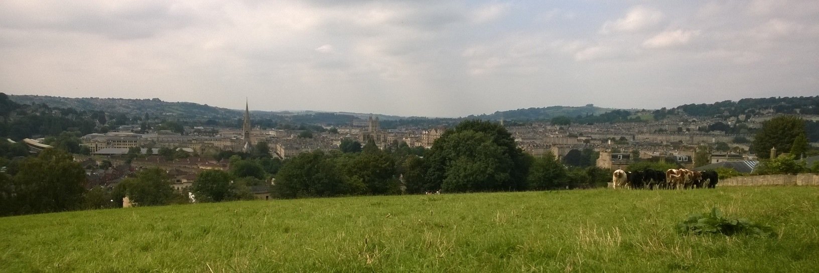 Dr Michelle St Clair banner