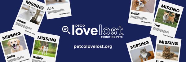 petcolovelost Profile Banner