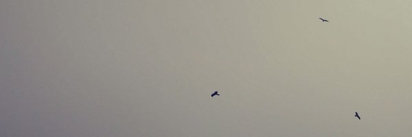 ActuallyAisha Profile Banner