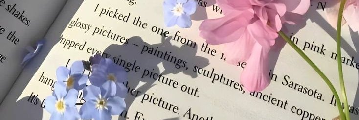 ayy🍄 no dm, wa only🥹💗 banner