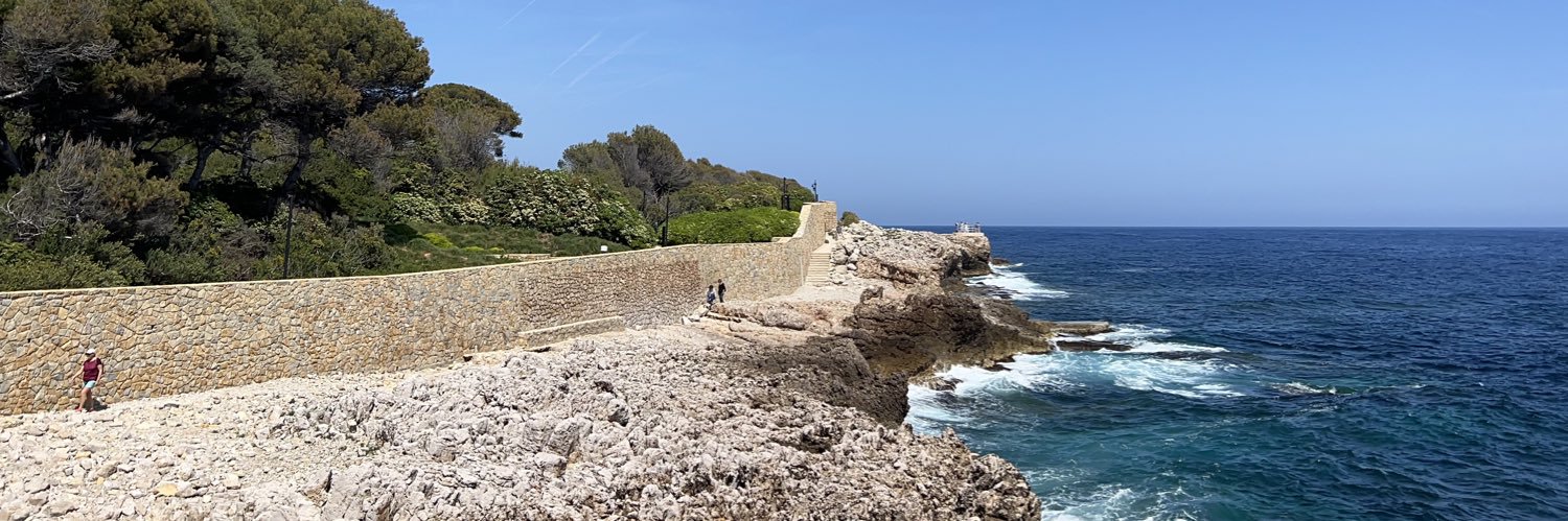 csiangelique's profile banner image