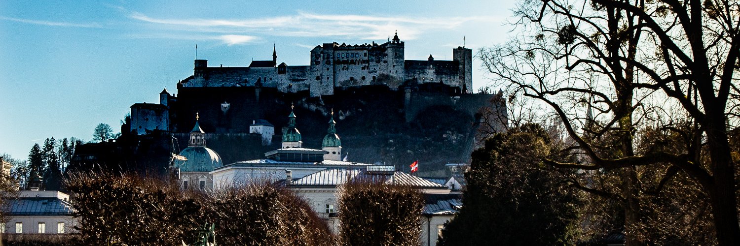 wernerharing's profile banner image