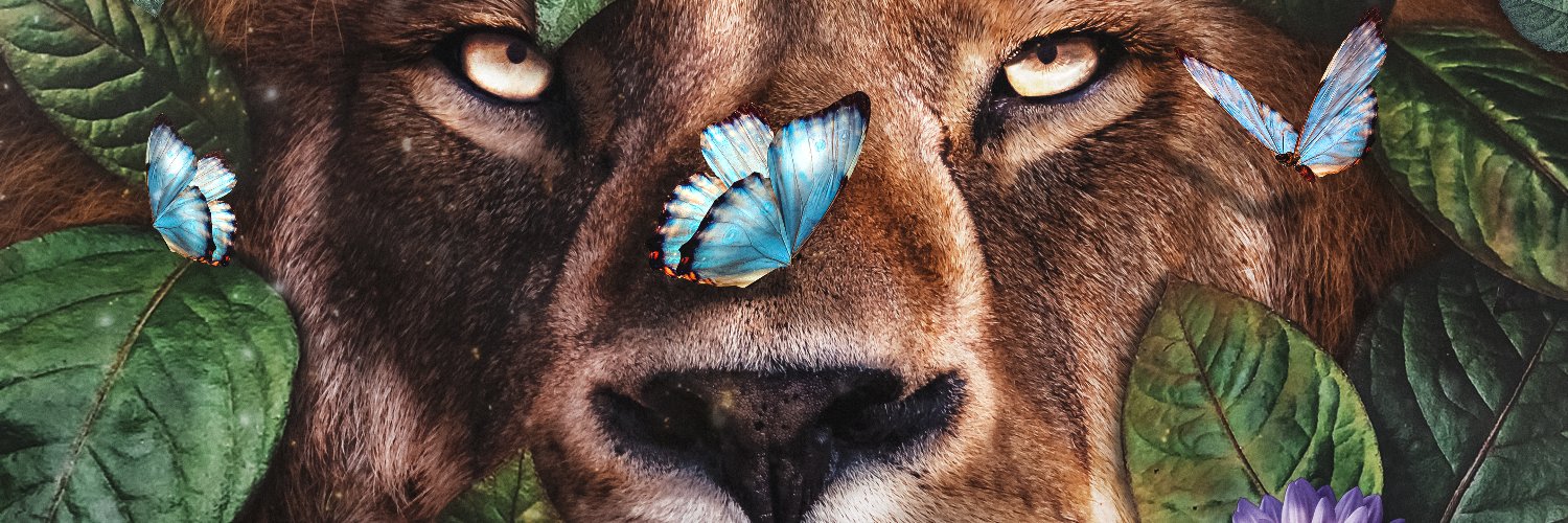 Positive Bro | Ava Protocol banner
