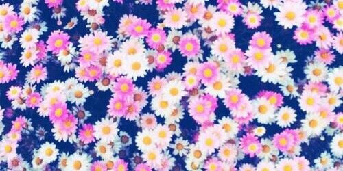 cntry4's profile banner image