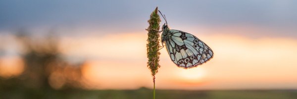 martinjamescook Profile Banner