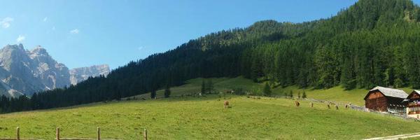 flevour Profile Banner