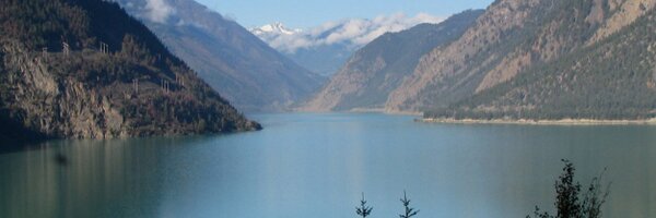 LRinvasives Profile Banner