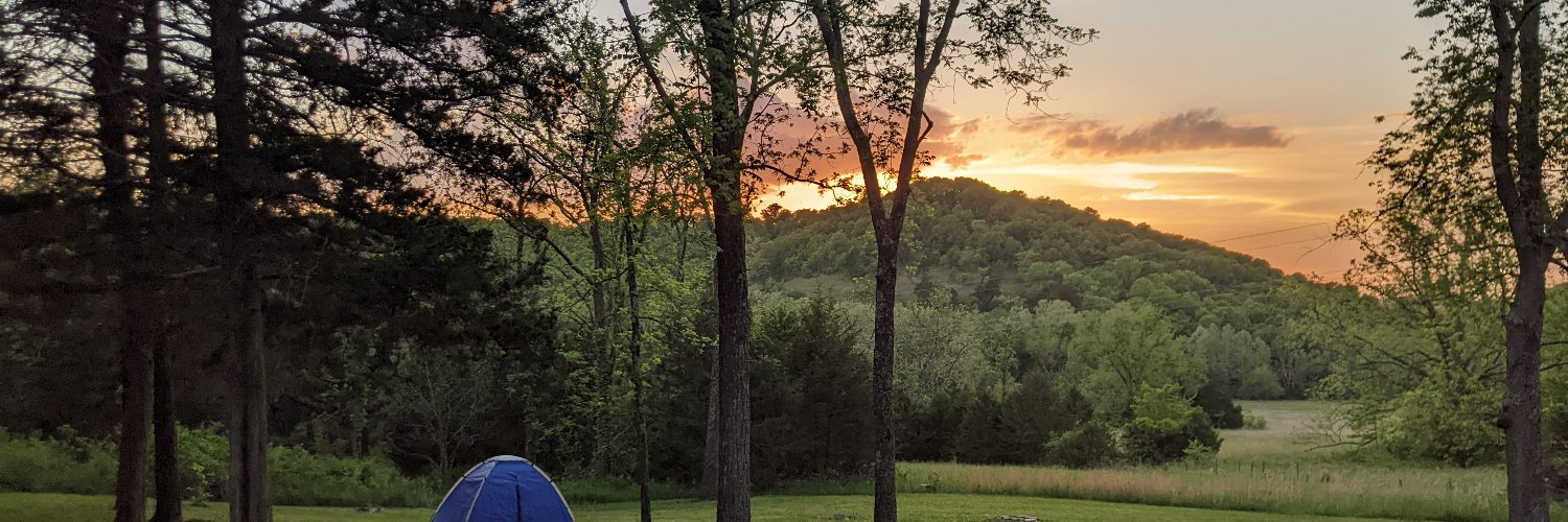 TriciaDeGraff's profile banner image