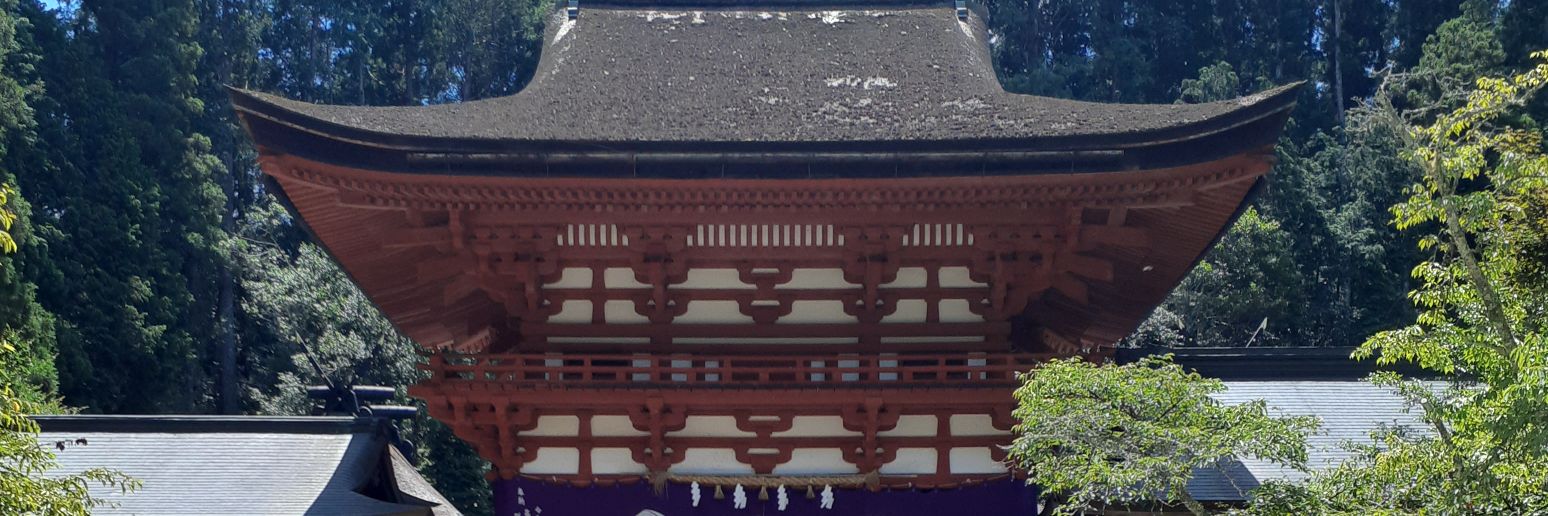 summer peak banner
