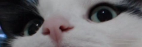 Sayu ☕🧋 banner