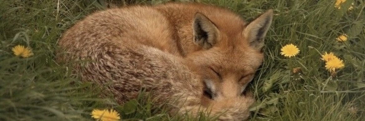 hannybtwo's profile banner image
