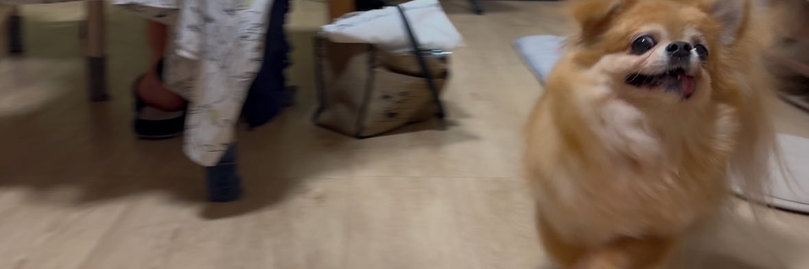 ☆ ★陸★ ☆ banner