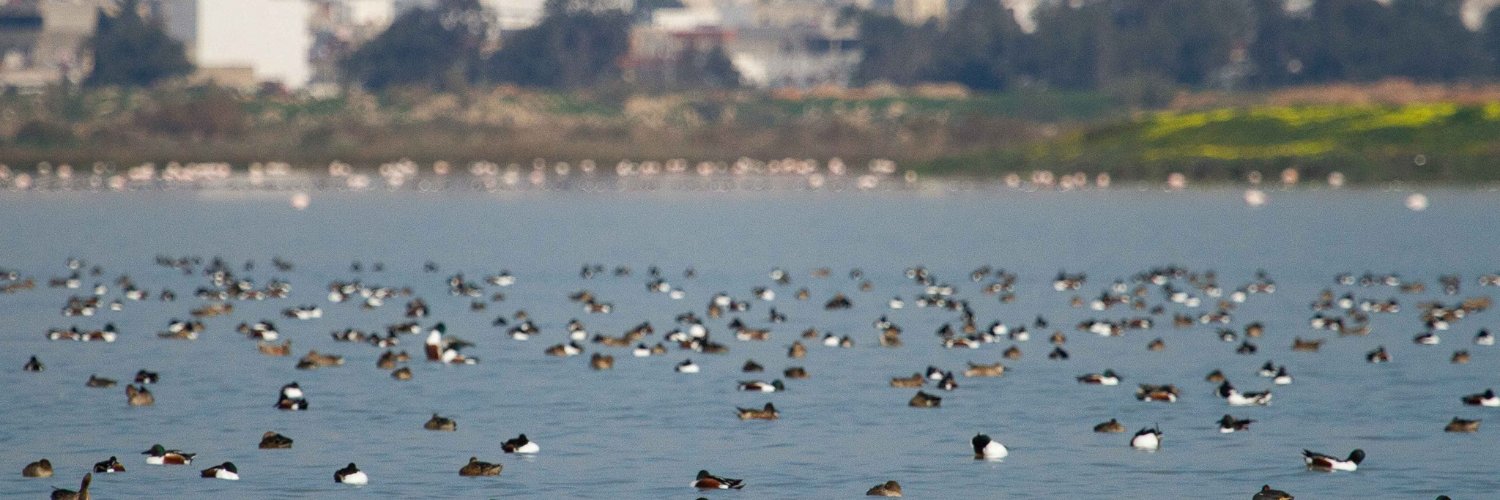 Mediterranean Alliance For Wetlands banner