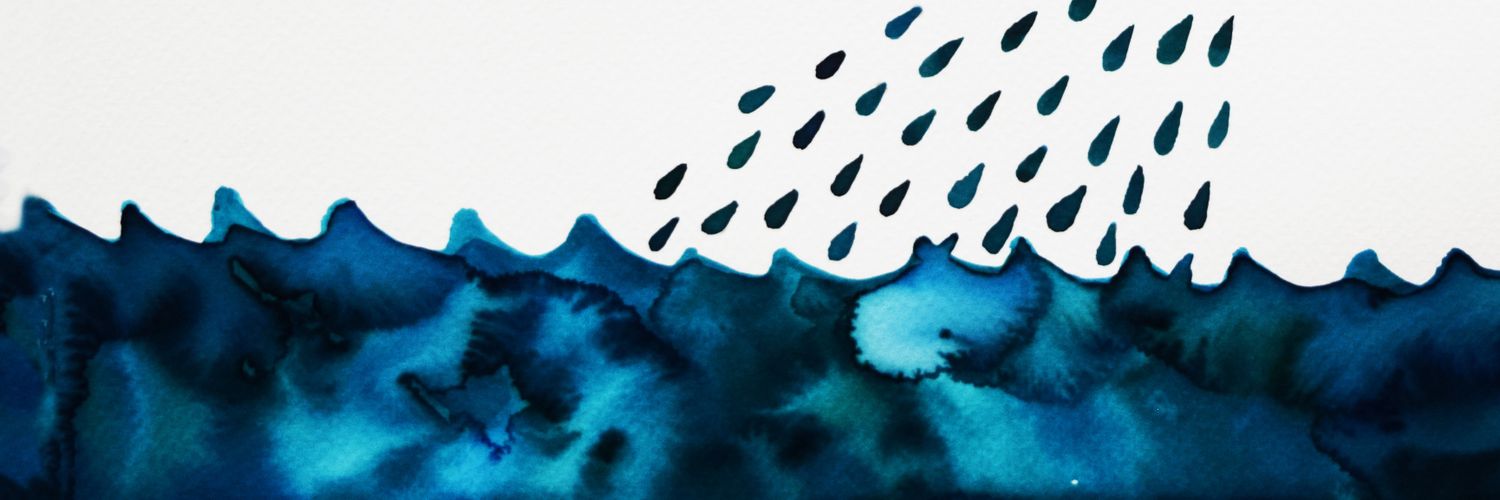 Laura Sofía Thorrez banner