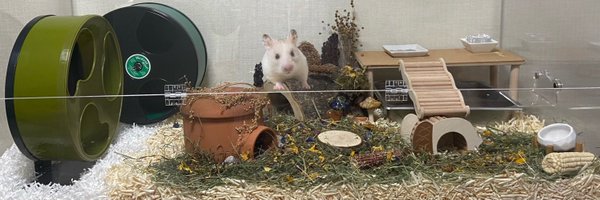 hamster_mari Profile Banner