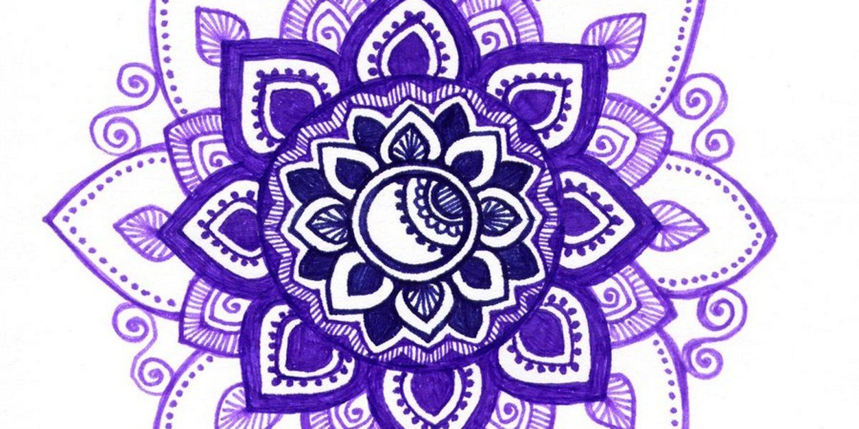 Fi banner