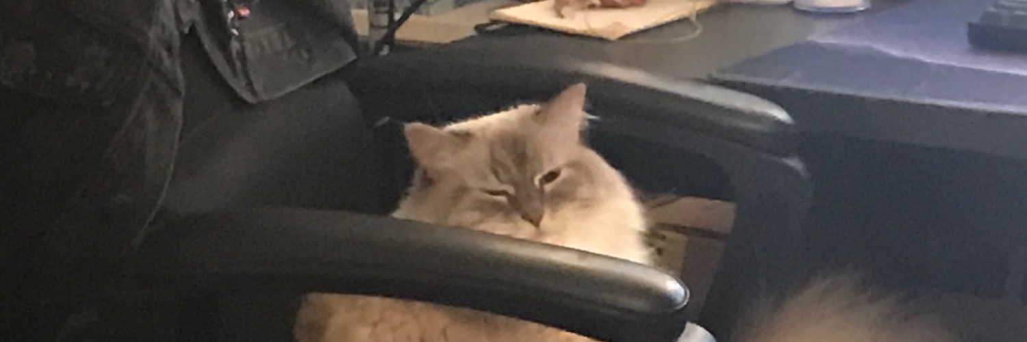 Z banner