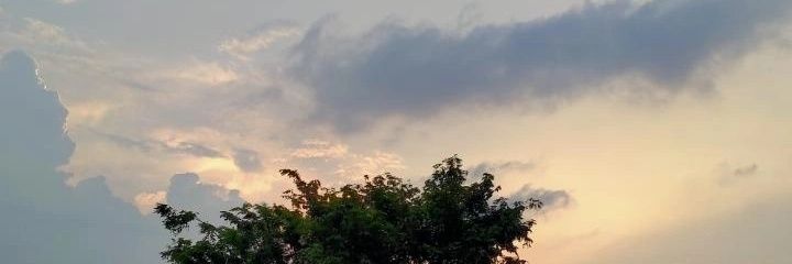 Novctiss's profile banner image