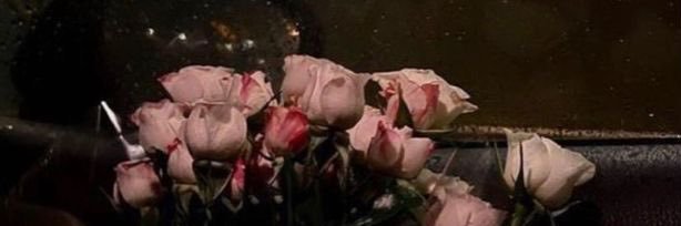 رً 🤍. banner