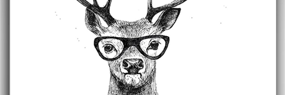 Pinko banner