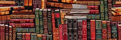 Miss Motionless banner