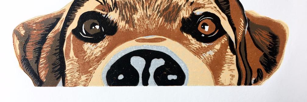 KazJJones's profile banner image