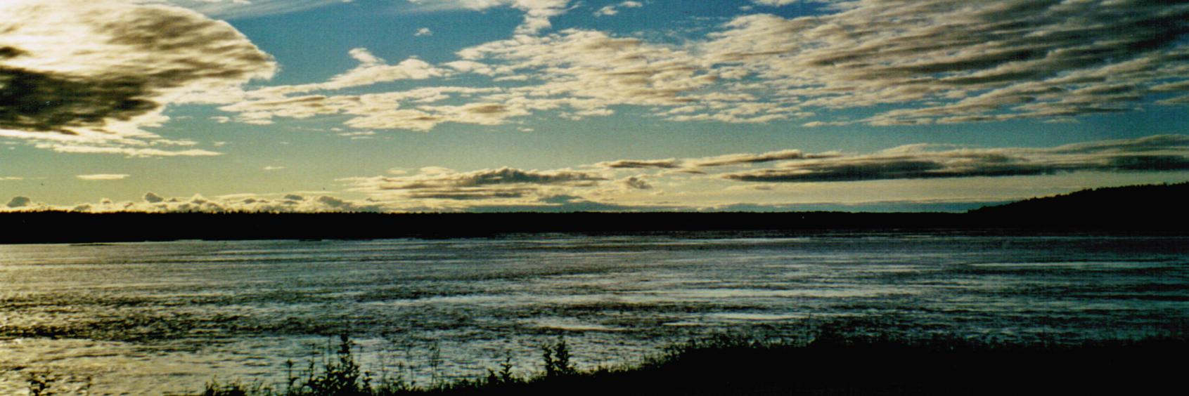 hanshafner's profile banner image