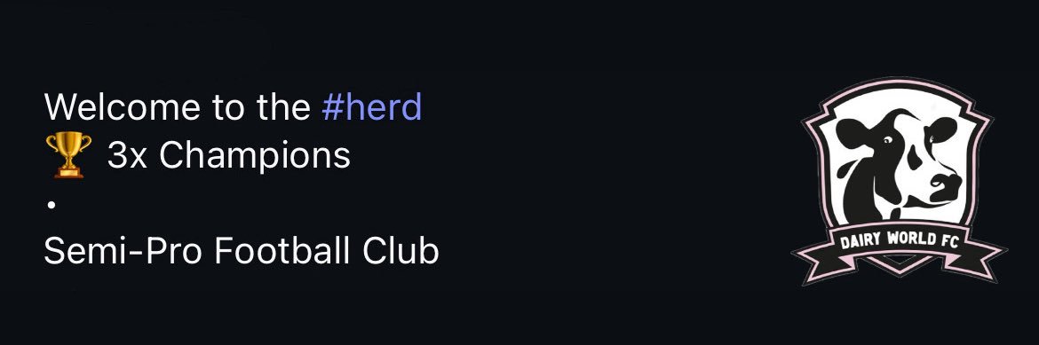 DAIRY WORLD FC banner