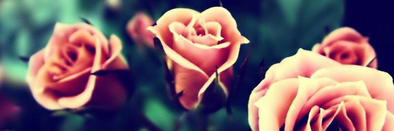 michaelam_1995's profile banner image