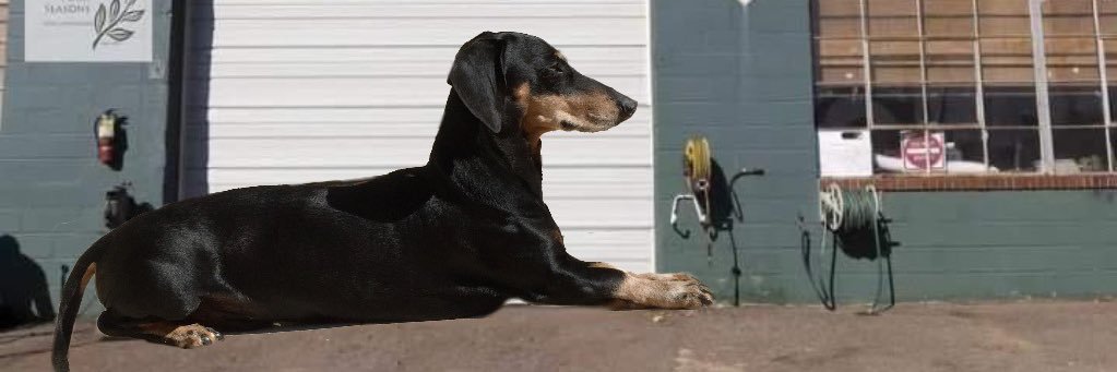 snoopa's profile banner image