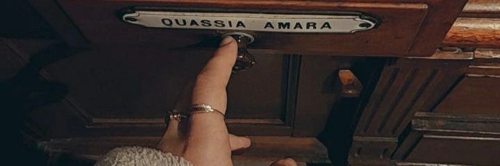 sema_uncuoglu's profile banner image
