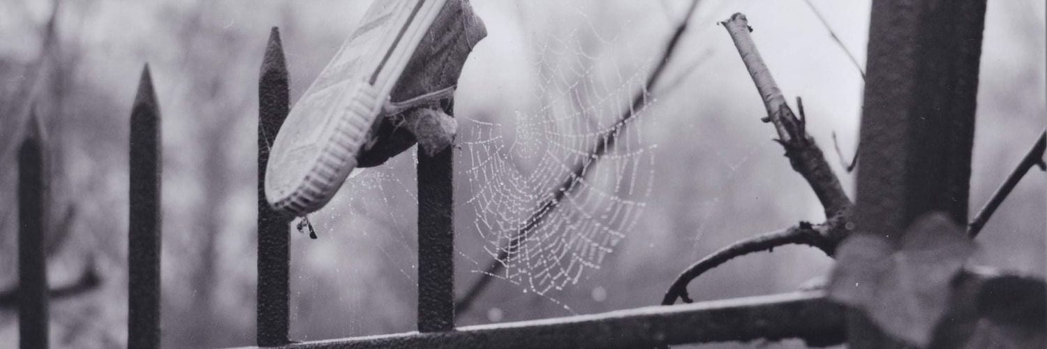 @elmonstruojocantaro banner