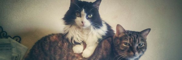 Babbanculo Profile Banner