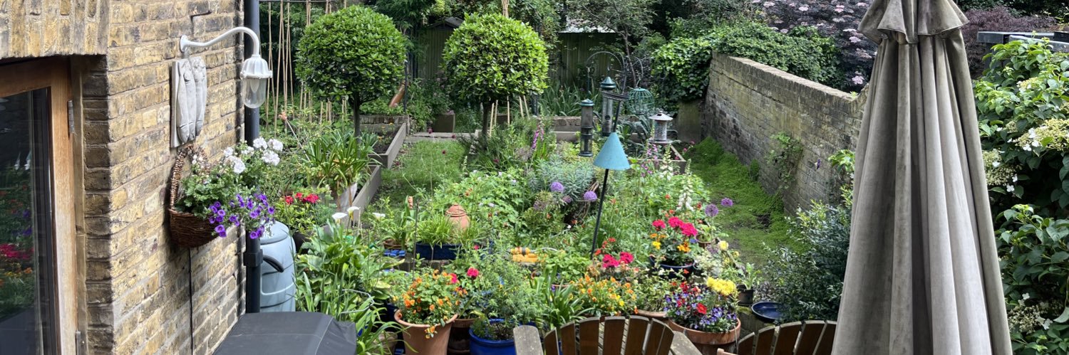 Sarah Winmill 💙 banner