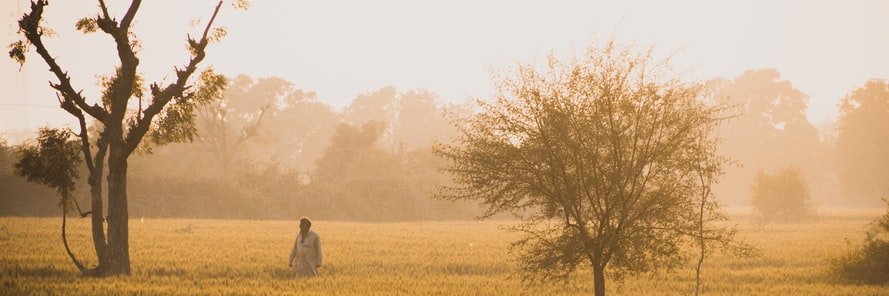 ManveerKaur01's profile banner image
