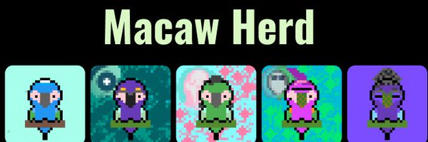 MacawHerd Profile Banner