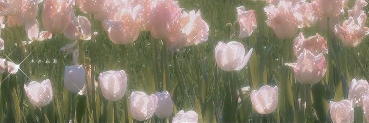 Lahza E. //parodyacc banner