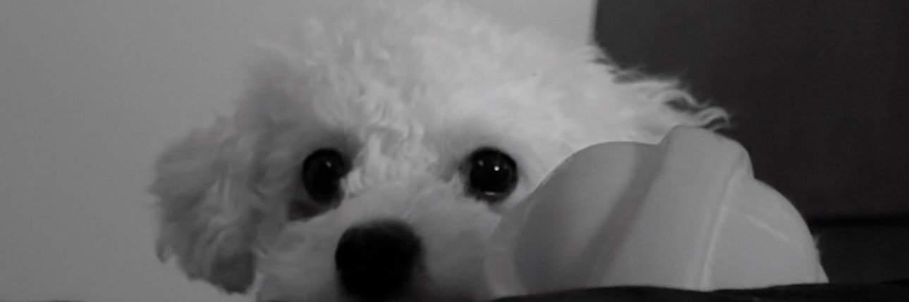 marissacc's profile banner image