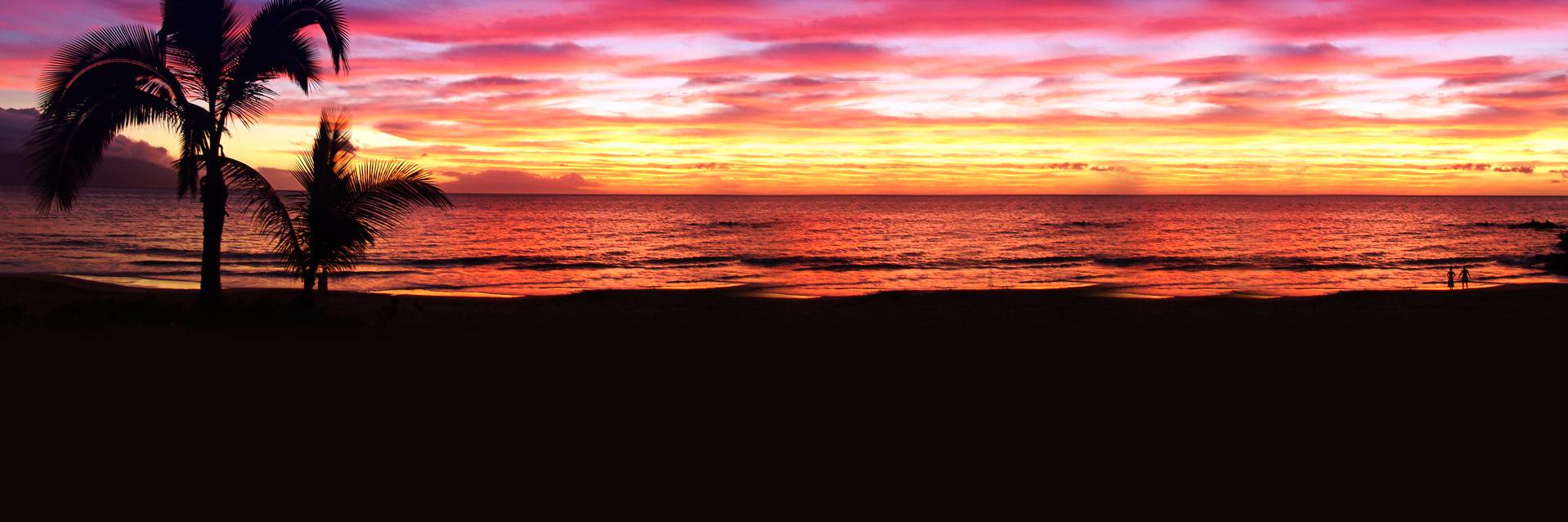 NiceManIsHere's profile banner image