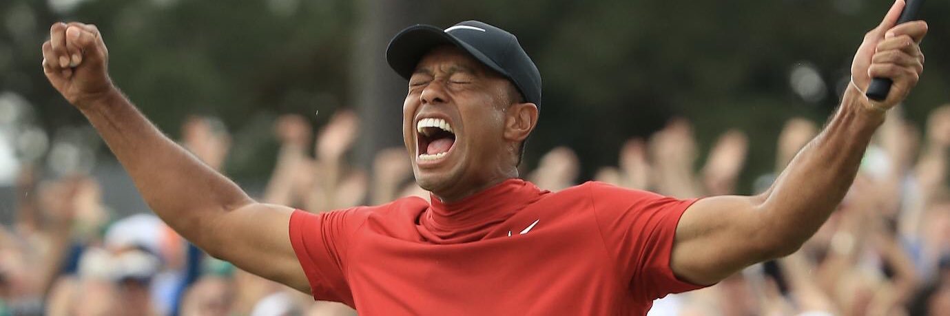 TigerQuestfor19's profile banner image