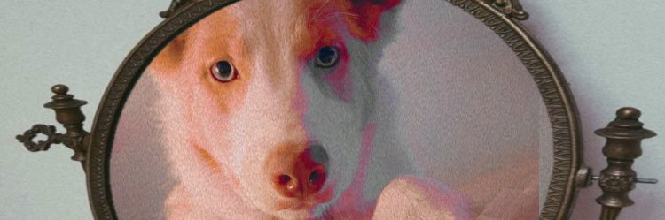 bcpowderburn's profile banner image