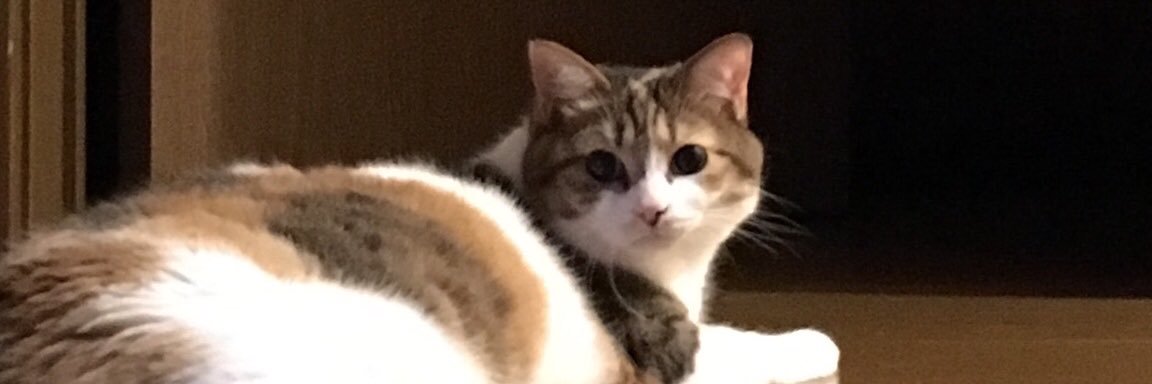 kazalfmac1972's profile banner image