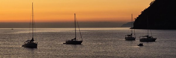 Pebbles_Soja Profile Banner